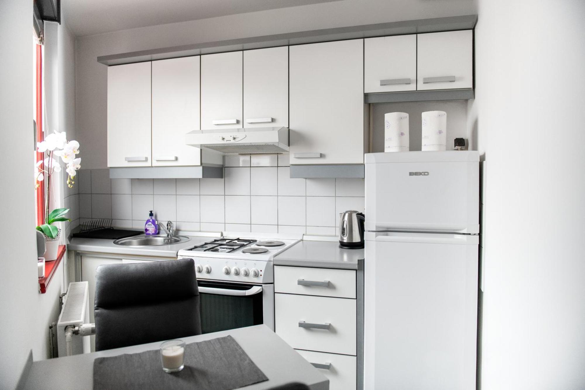 Flexible Selfcheckins 15 & 19 - Zagreb - Garage - Loggia - New - Apartments Repinc エクステリア 写真